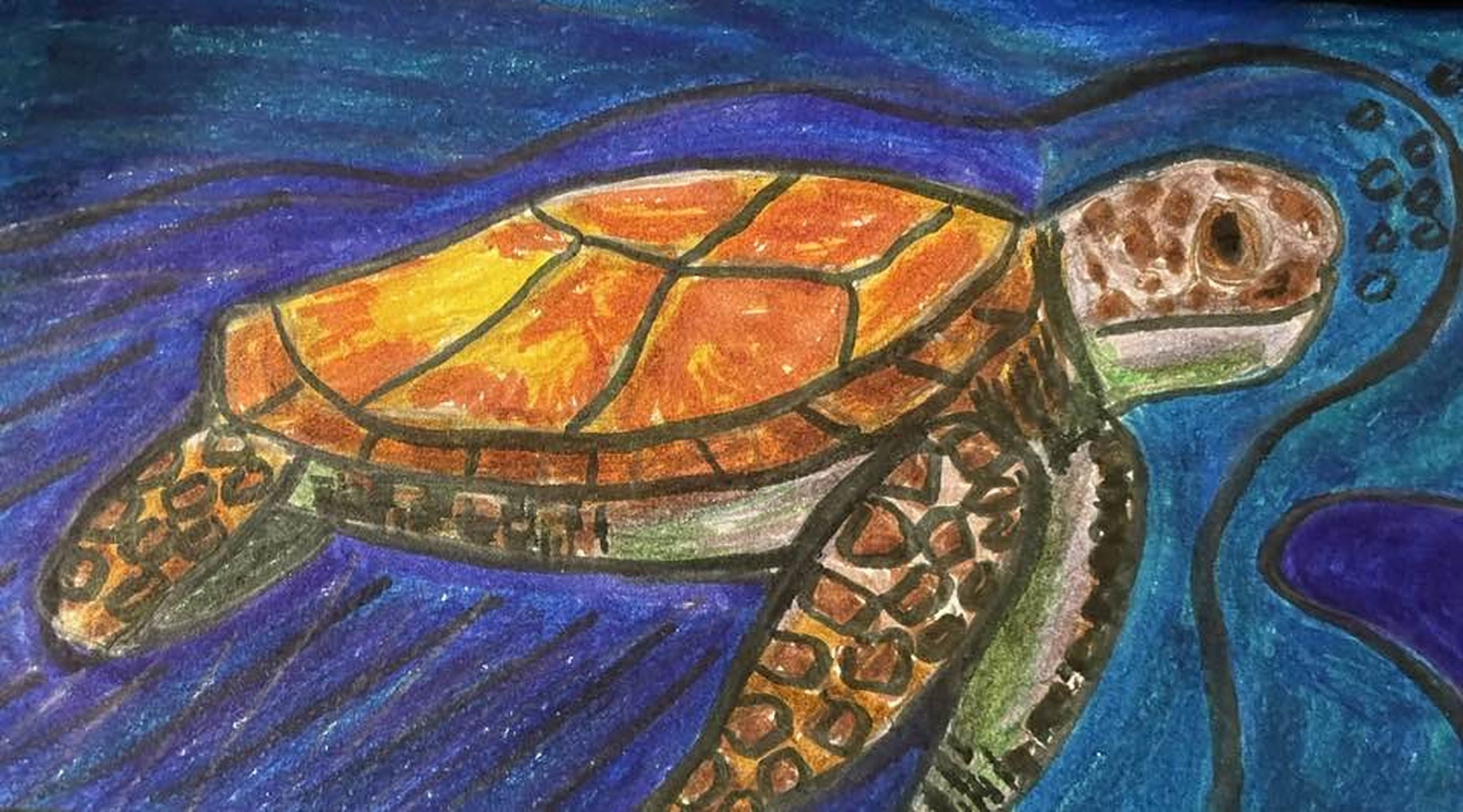 Saving Our Sea Turtles: A Mission for Us All!